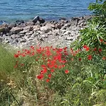 Private Studio, South Beaсh, Nessebar, Larisa Appartamento Nesebar