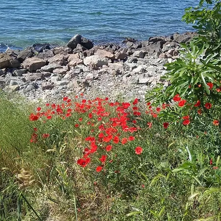 Private Studio, South Beaсh, Nessebar, Larisa Lägenhet Nesebar