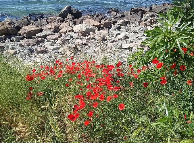 Private Studio, South Beaсh, Nessebar, Larisa Apartment Nessebar